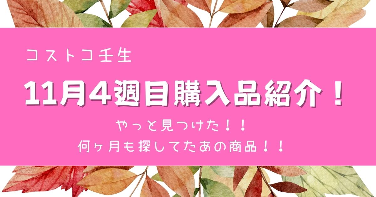 コストコ壬生 11月4週目の購入品紹介 大好きなあの品を購入