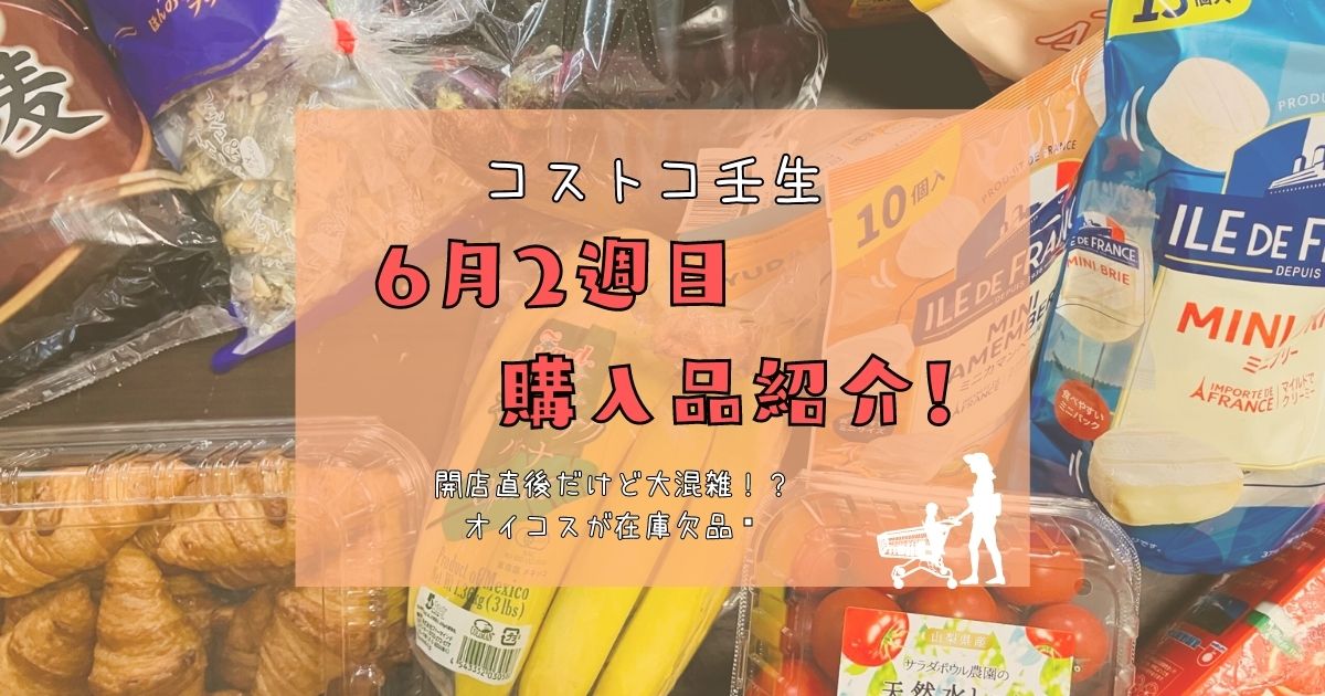 コストコ壬生6月2週目購入紹介　アイキャッチ
